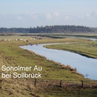dscn0766-001