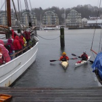 grogtoern4