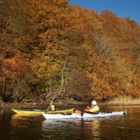 herbst1