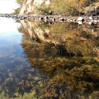 herbst3