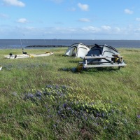 auf_oland